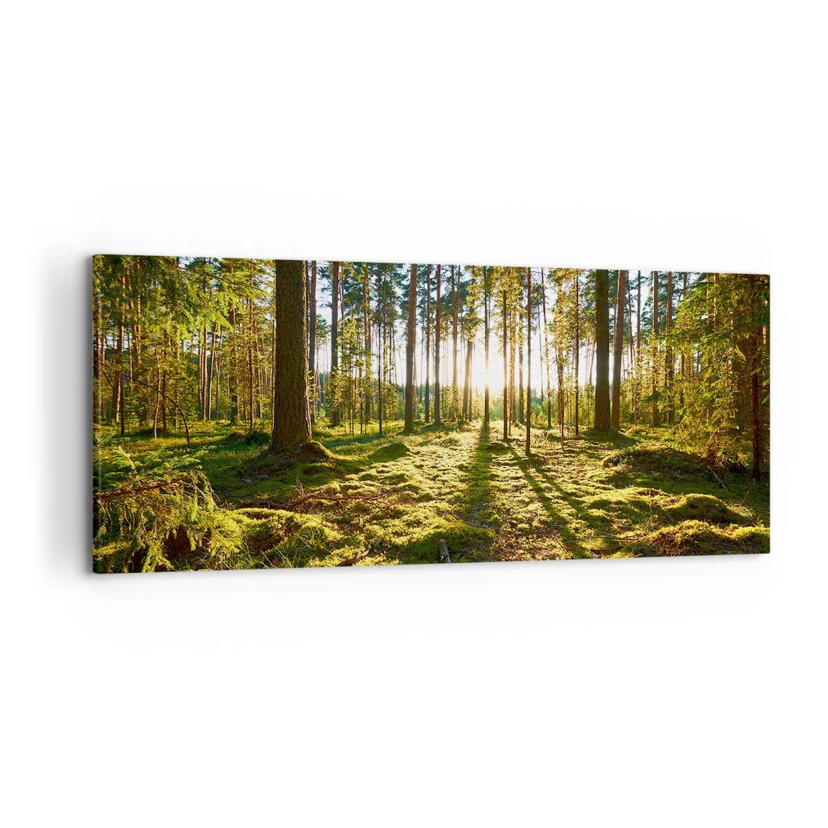 Quadro su tela - Stampe su Tela - Foresta verde illuminata dalla luce del sole sul muschio - 120x50cm - …dopo sette foreste - Decorazione murale moderna per soggiorno e camera da letto ARTTOR