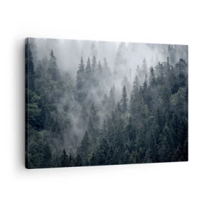 Quadro su tela - Stampe su Tela - Foresta di conifere nebbiosa nei toni del grigio e del verde - 70x50cm - Alba nel bosco - Decorazione murale moderna per soggiorno e camera da letto ARTTOR