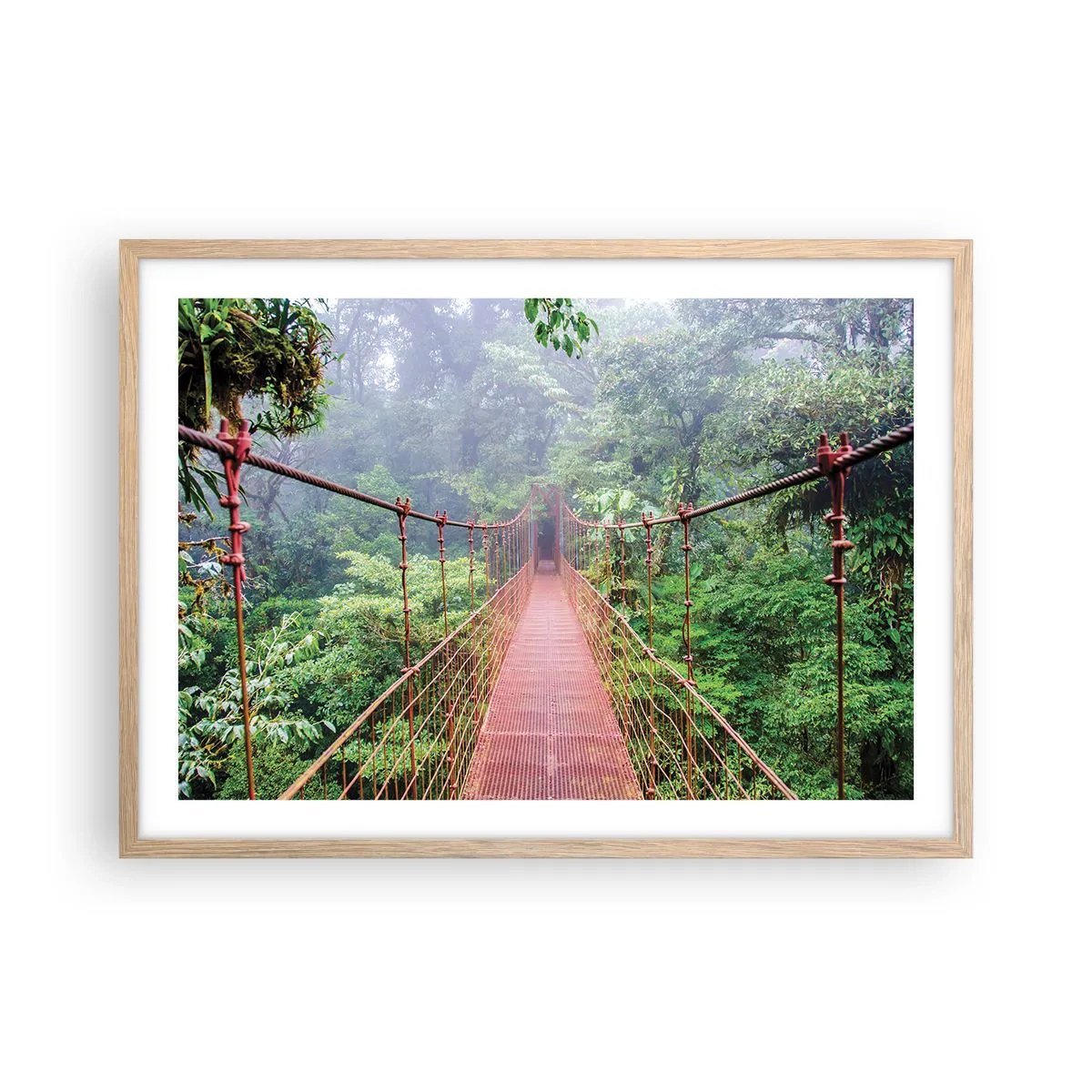 Poster in cornice rovere chiaro - Sospeso sopra gli alberi - 70x50 cm