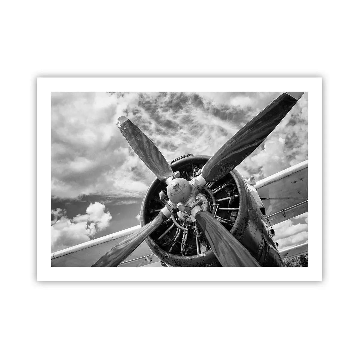 Poster - Il dominatore dell'aria - 70x50 cm