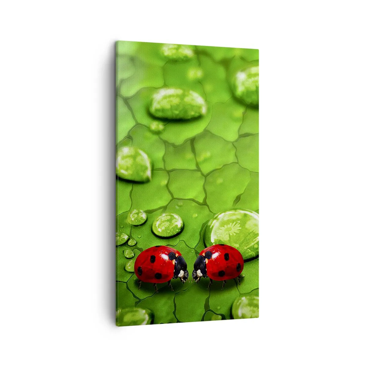 Quadro su tela - Stampe su Tela - Incontro in verde - 45x80 cm