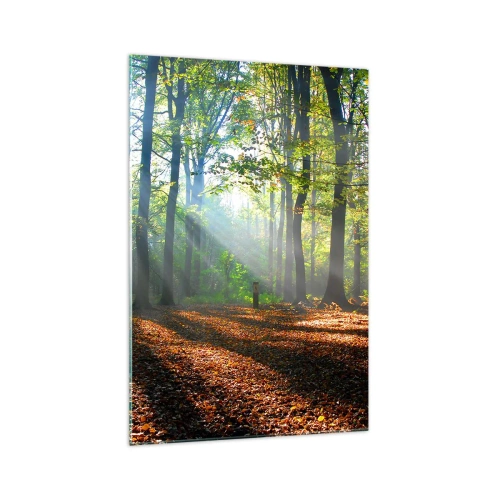 Quadro su vetro - Una radura della foresta illuminata dai raggi del sole - 70x100cm - Luci e ombre - Decorazione murale moderna per soggiorno e camera da letto ARTTOR