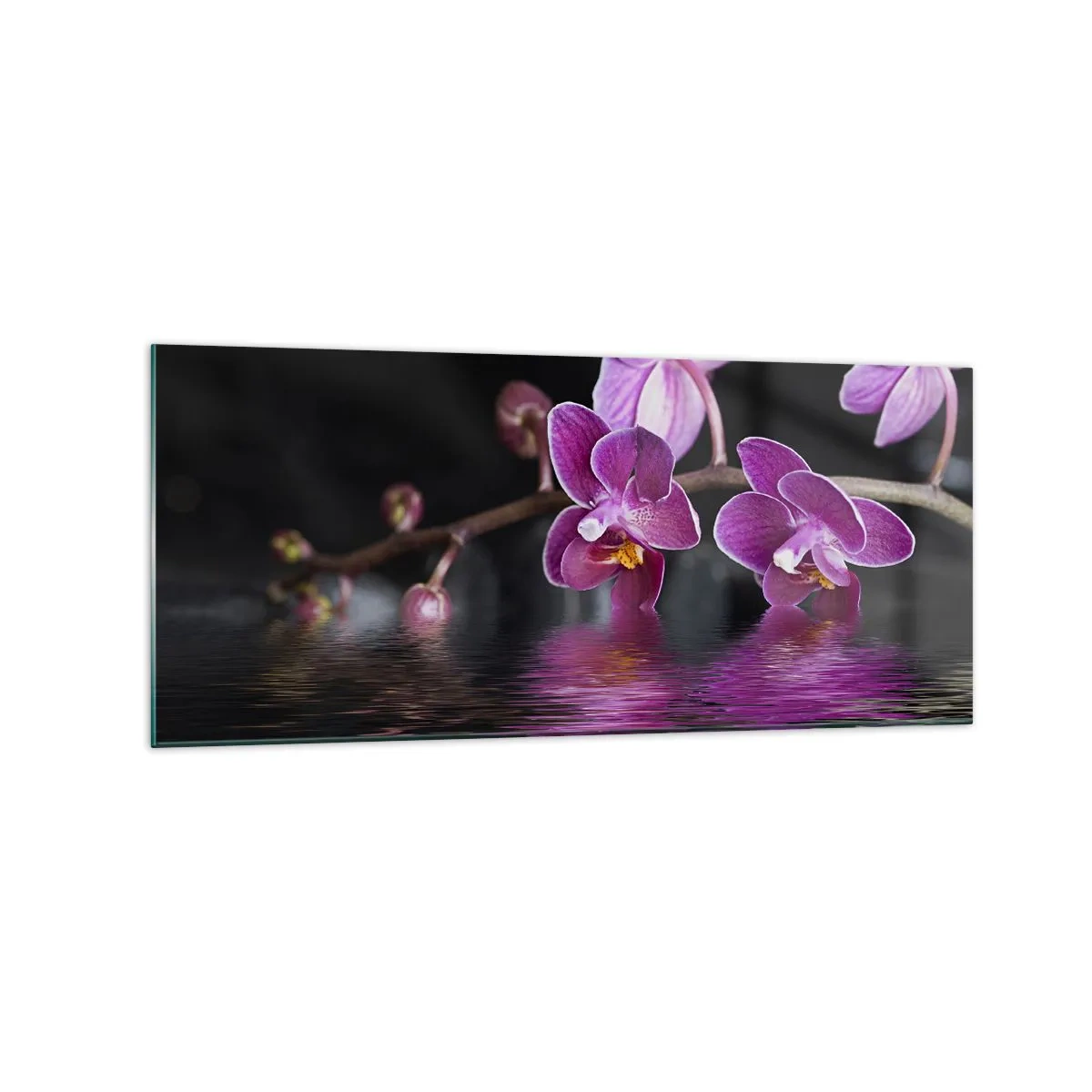 Quadro su vetro - Orchidee viola su acqua calma su sfondo nero - 120x50cm - La bellezza riflessa dai gigli - Decorazione murale moderna per soggiorno e camera da letto ARTTOR
