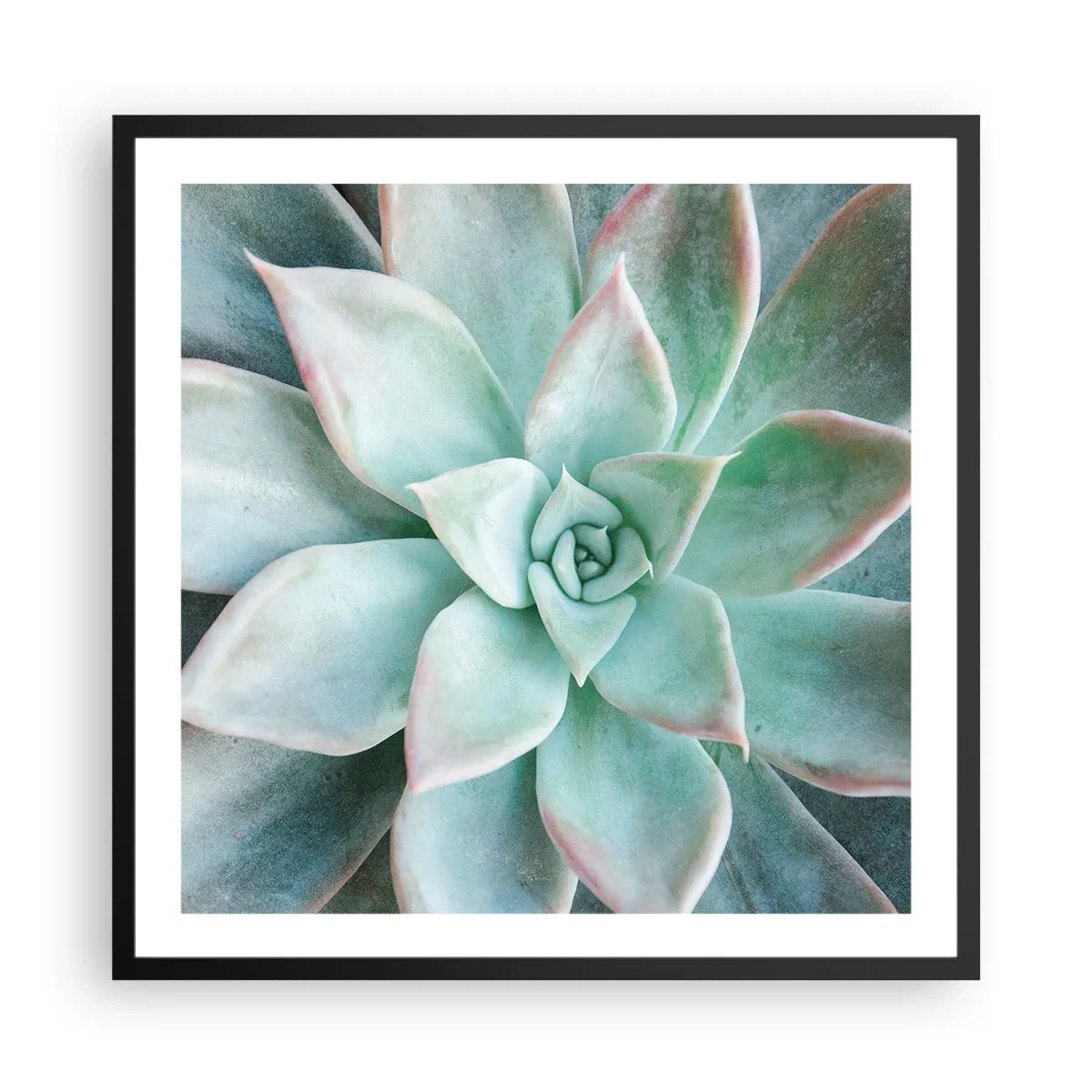 Poster in cornice nera - Il cuore del deserto - 60x60 cm
