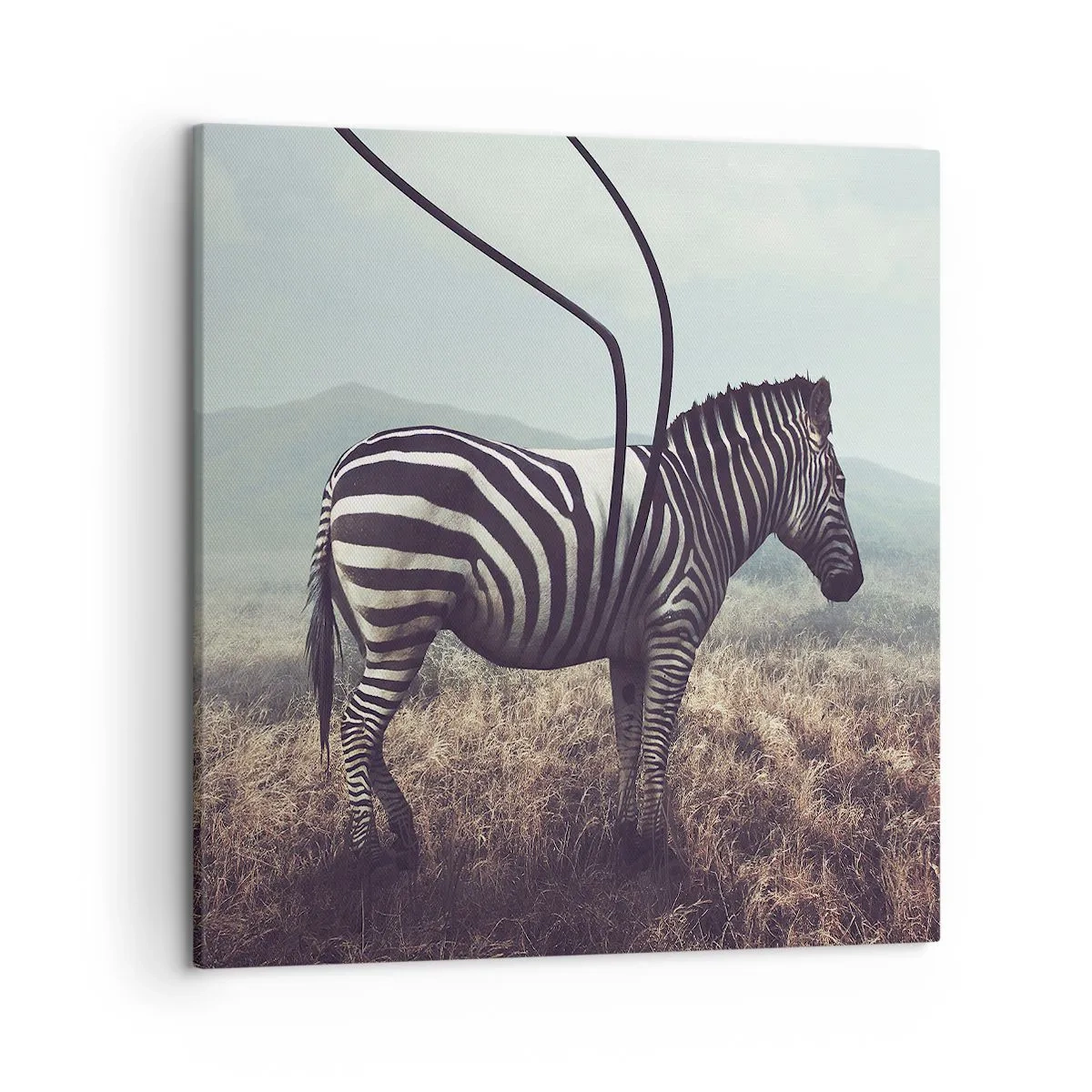 Quadro su tela - Stampe su Tela - Attenzione! Difetto - 50x50 cm