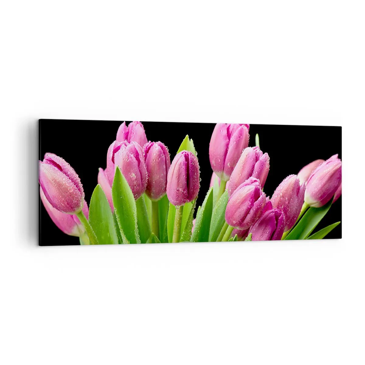 Quadro su tela - Stampe su Tela - Tulipani rosa con gocce di rugiada su sfondo nero - 140x50cm - Gioia lilla della primavera - Decorazione murale moderna per soggiorno e camera da letto ARTTOR