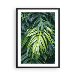 Poster in cornice nera - Primo piano delle foglie verdi di monstera - 50x70cm - Immergersi nella freschezza - Decorazione murale moderna per soggiorno e camera da letto ARTTOR