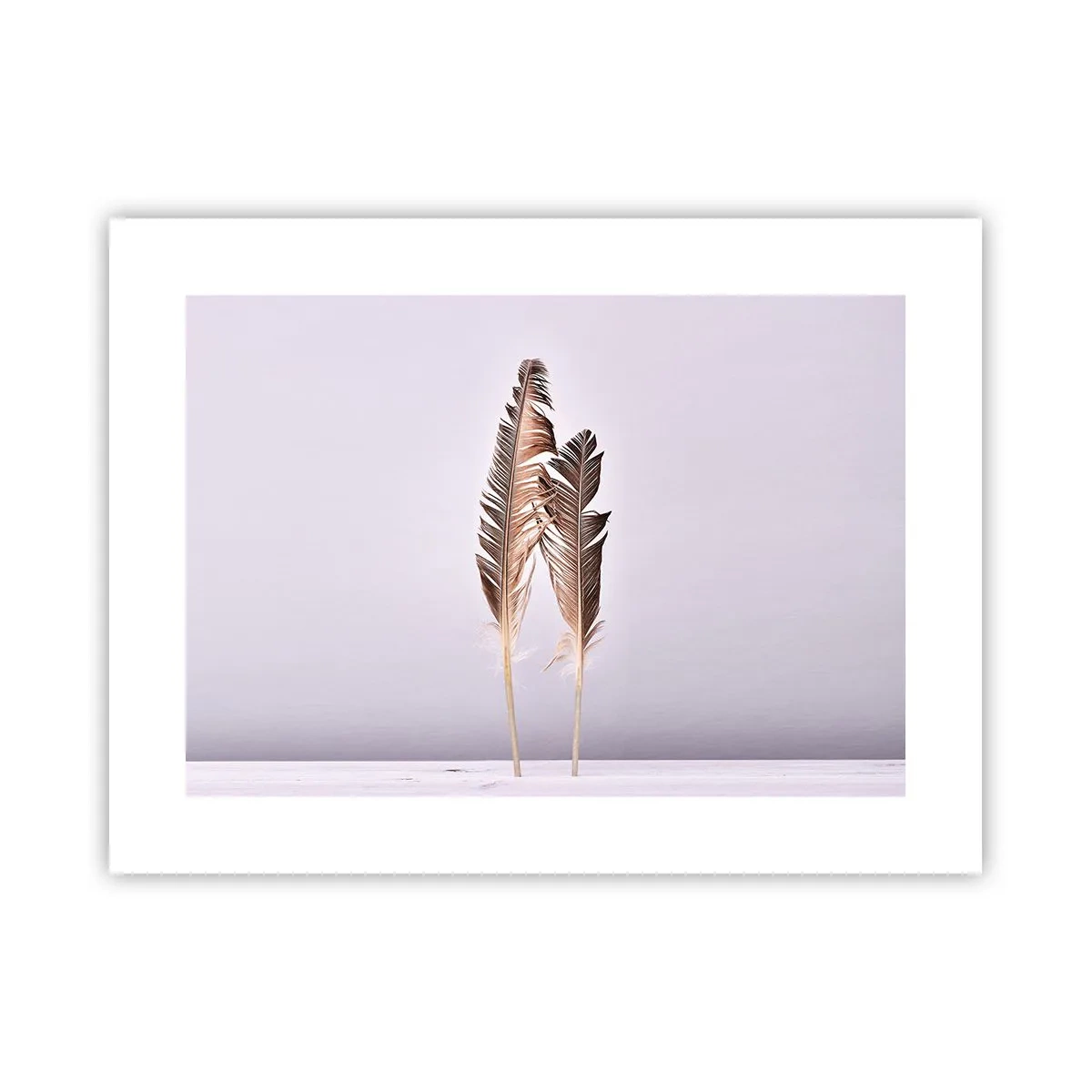 Poster - Contro il nulla - 40x30 cm