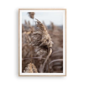 Poster in cornice rovere chiaro - è tempo di volare col vento - 70x100 cm