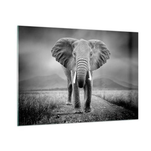 Quadro su vetro - Elefante nella savana in bianco e nero - 100x70cm - Il padrone di casa dà il benvenuto - Decorazione murale moderna per soggiorno e camera da letto ARTTOR
