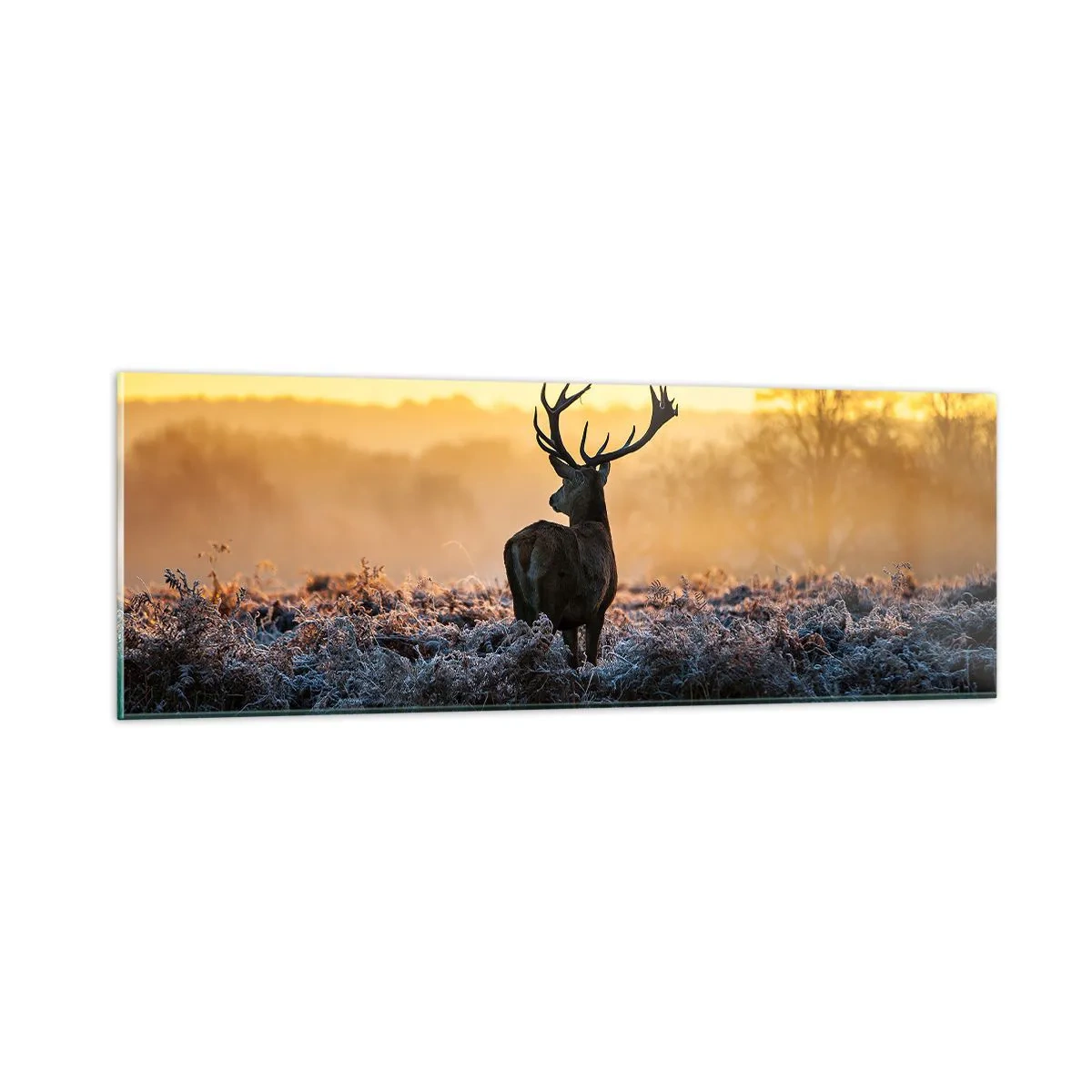 Quadro su vetro - Incoronato nelle sue terre - 90x30 cm