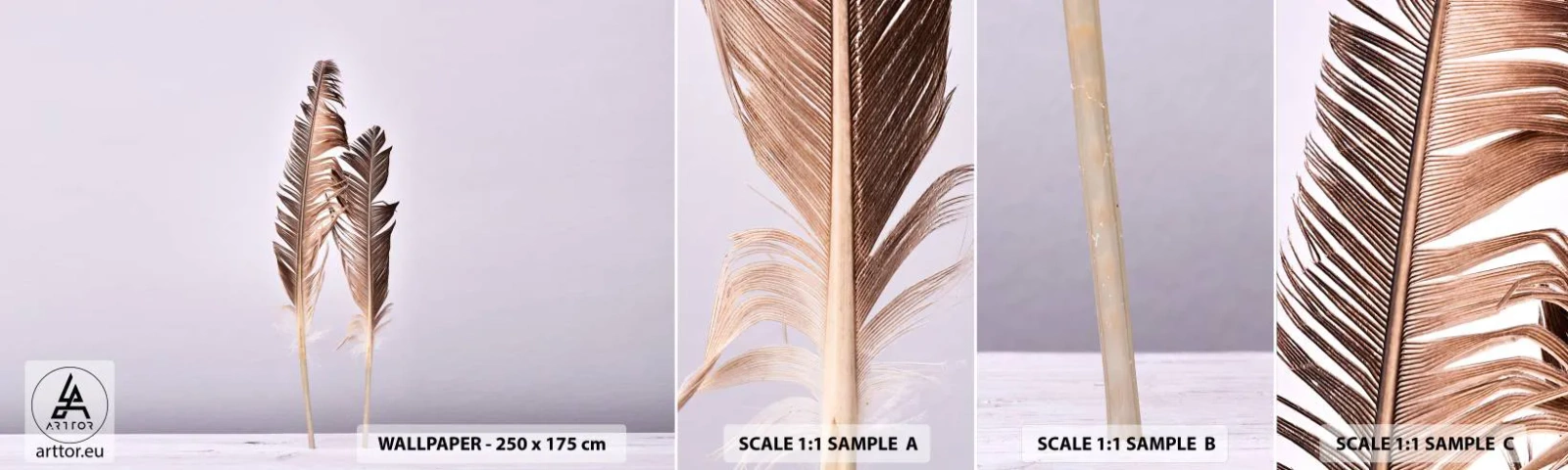 Campione Di Fotomurale Standard Eco - Contro il nulla - Piuma di uccello, Pezzo, Grafica - 100x30 cm