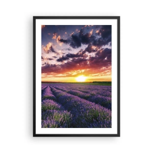 Poster in cornice nera - Campo di lavanda al tramonto - 50x70cm - Il mondo della lavanda - Decorazione murale moderna per soggiorno e camera da letto ARTTOR