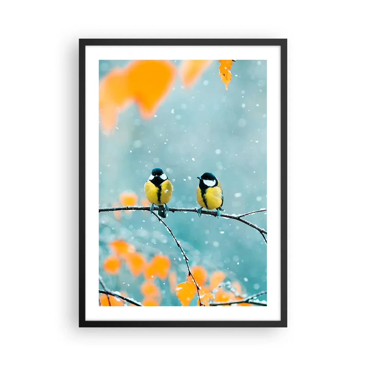 Poster in cornice nera - Due cinciallegre sedute su un ramo in uno scenario invernale - 50x70cm - Pettegolezzi alati - Decorazione murale moderna per soggiorno e camera da letto ARTTOR