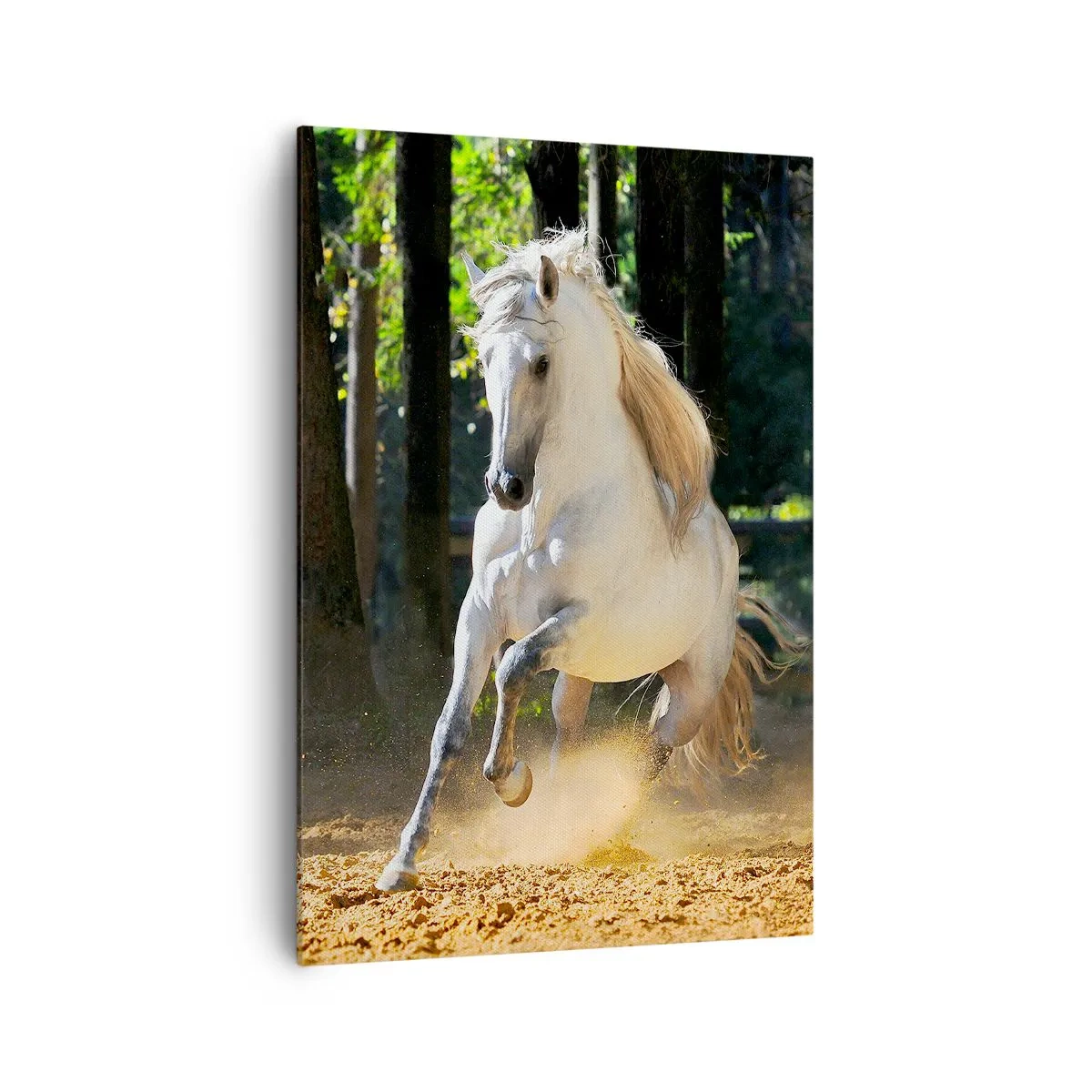 Quadro su tela - Stampe su Tela - Un cavallo bianco che galoppa attraverso una radura nella foresta - 70x100cm - Come nei racconti fantasy - Decorazione murale moderna per soggiorno e camera da letto ARTTOR