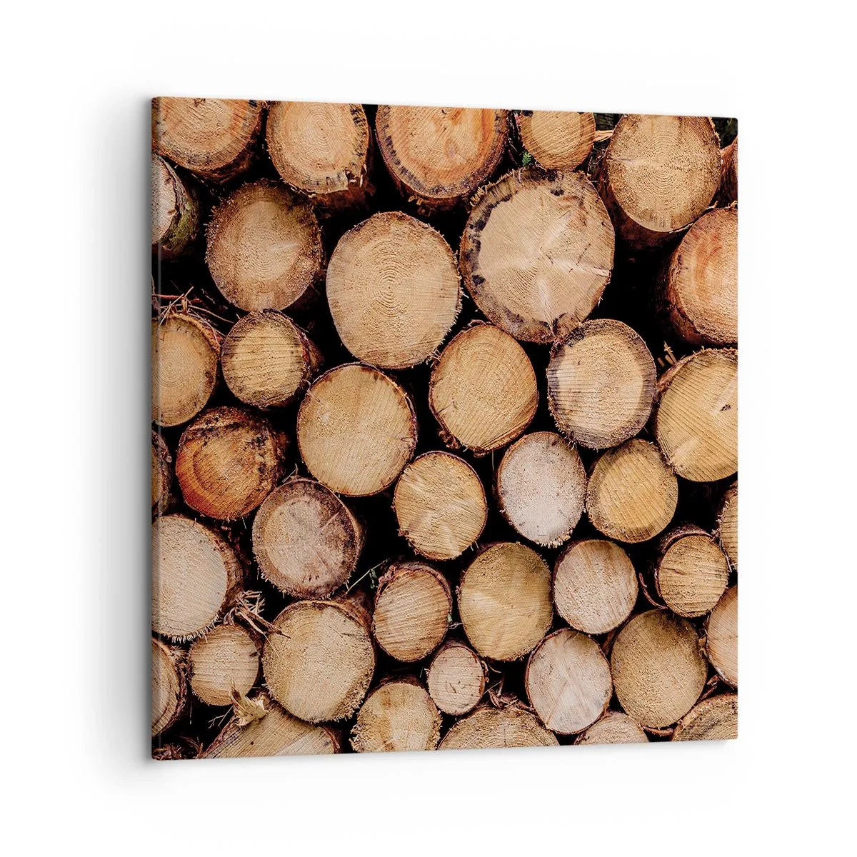 Quadro su tela - Stampe su Tela - Nuovo inizio - 50x50 cm