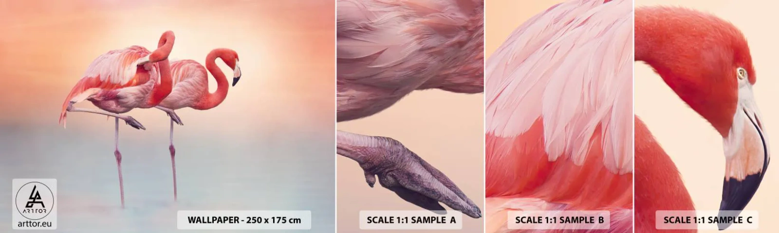 Campione di Fotomurale Adesivo Deluxe Sticker - Nel colore del sole al tramonto - Fenicotteri, Uccelli, Natura - 100x30 cm