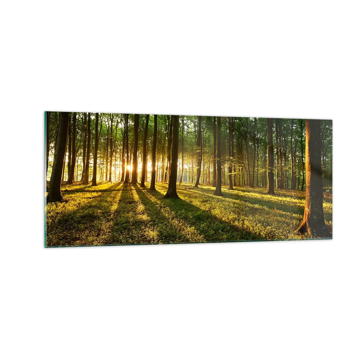 Quadro su vetro - La foto di ogni primavera - 100x40 cm