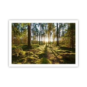 Poster - …dopo sette foreste - 91x61 cm
