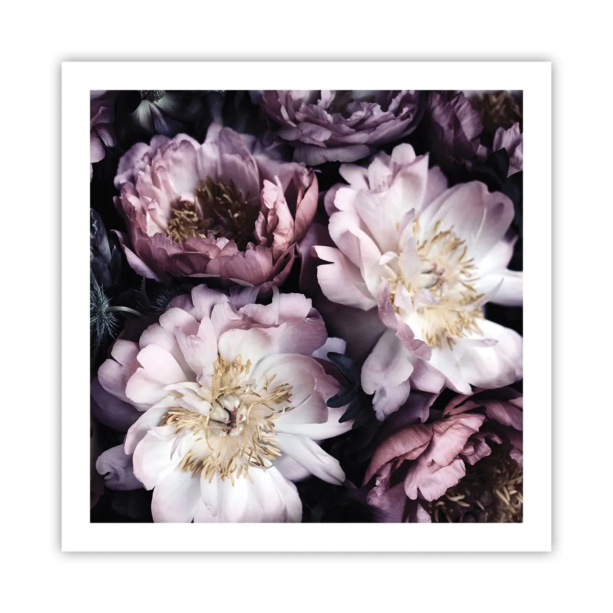 Poster - Bouquet nel vecchio stile - 60x60 cm