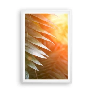 Poster in cornice bianca - L'alba nella giungla - 61x91 cm