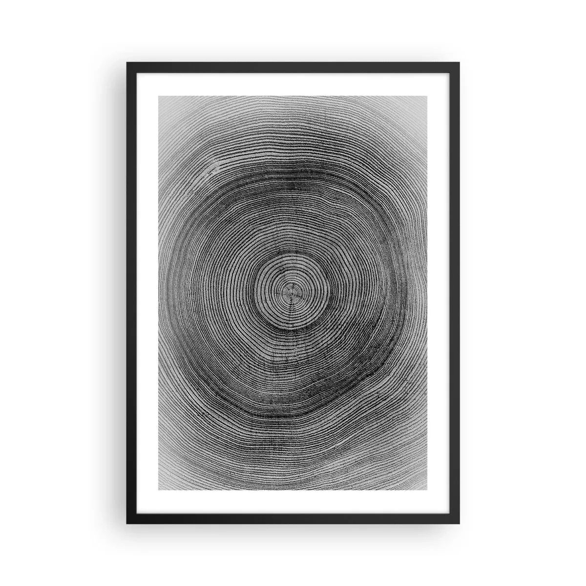 Poster in cornice nera - Grafica in bianco e nero che mostra la sezione trasversale del tronco di un albero - 50x70cm - I segni del tempo - Decorazione murale moderna per soggiorno e camera da letto ARTTOR