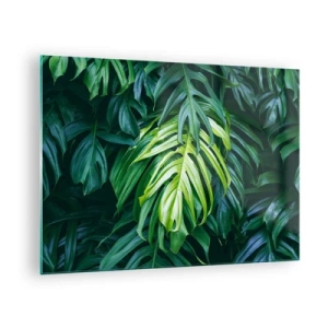 Quadro su vetro - Lussureggianti foglie verdi di monstera alla luce naturale - 70x50cm - Immergersi nella freschezza - Decorazione murale moderna per soggiorno e camera da letto ARTTOR