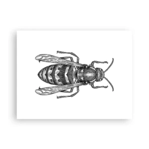 Poster - Dal pianeta degli insetti - 40x30 cm