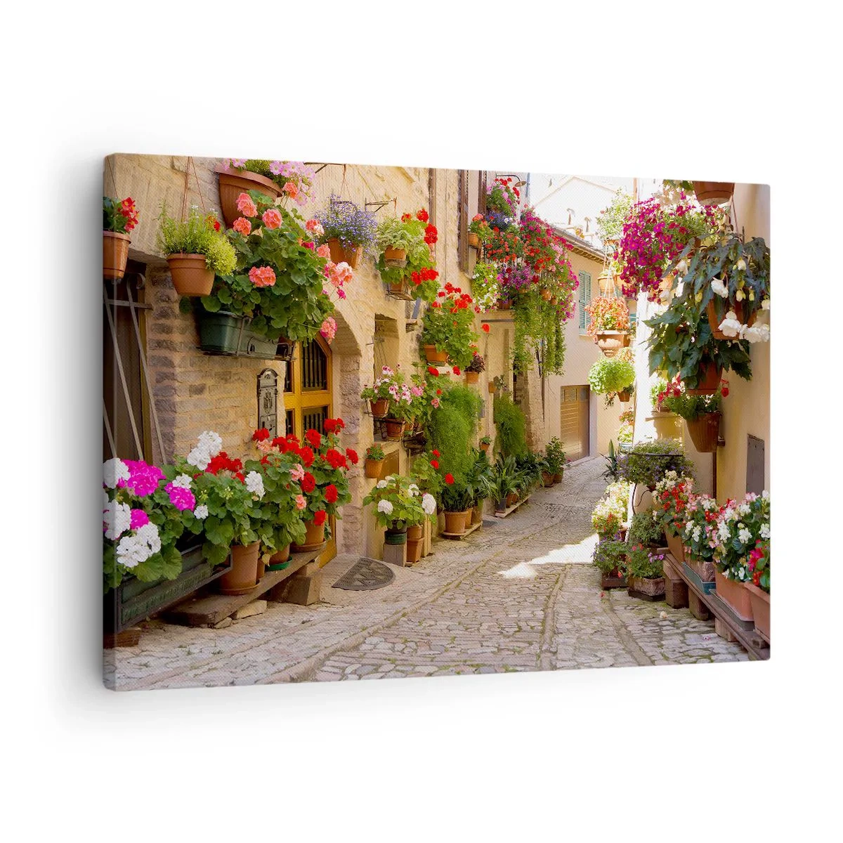 Quadro su tela - Stampe su Tela - Un'esplosione di fiori - 70x50 cm