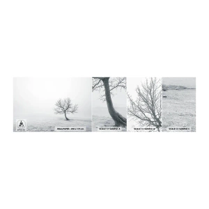 Campione di Fotomurale Adesivo Deluxe Sticker - Contro il nulla - Paesaggio, Albero, Natura - 100x30 cm