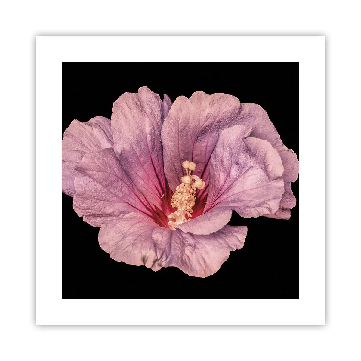 Poster - Dritto al cuore - 40x40 cm