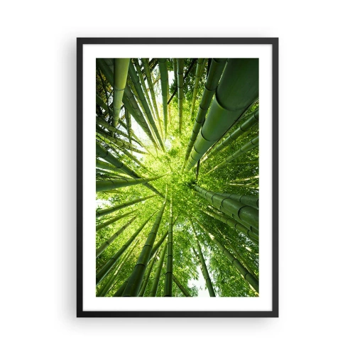 Poster in cornice nera - Vista sulla fitta foresta di bambù - 50x70cm - Nella foresta di bambù - Decorazione murale moderna per soggiorno e camera da letto ARTTOR