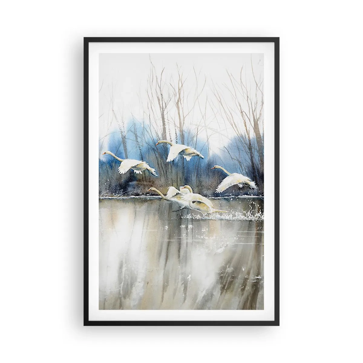 Poster in cornice nera - Come la favola dei cigni selvatici - 61x91 cm