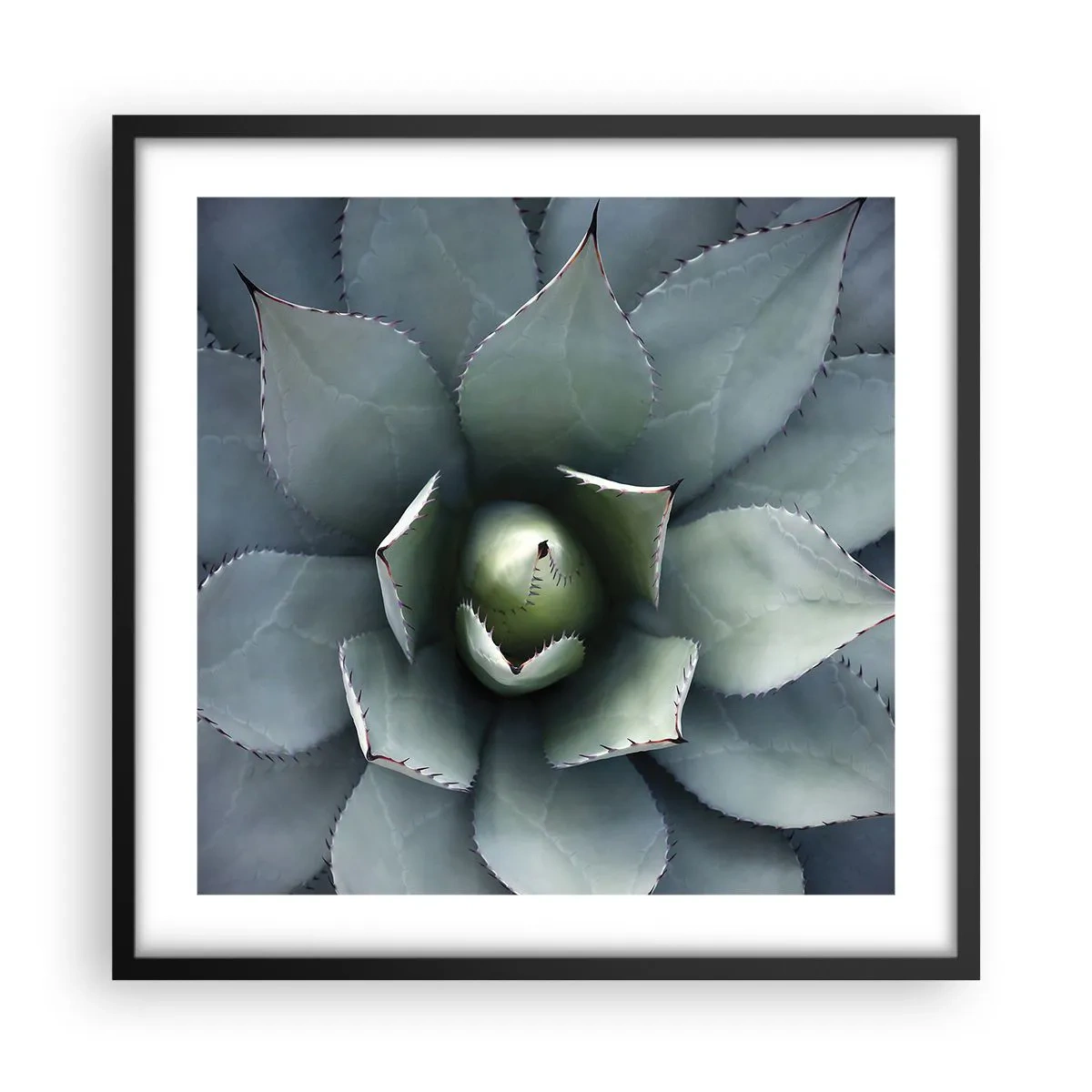 Poster in cornice nera - Adesca e minaccia - 50x50 cm