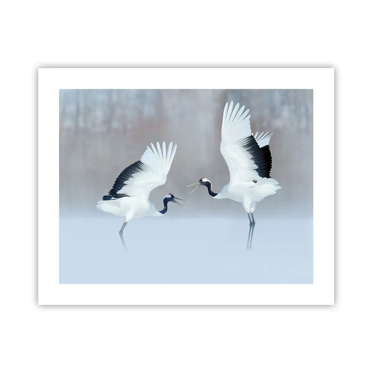 Poster - Danza nella nebbia - 50x40 cm