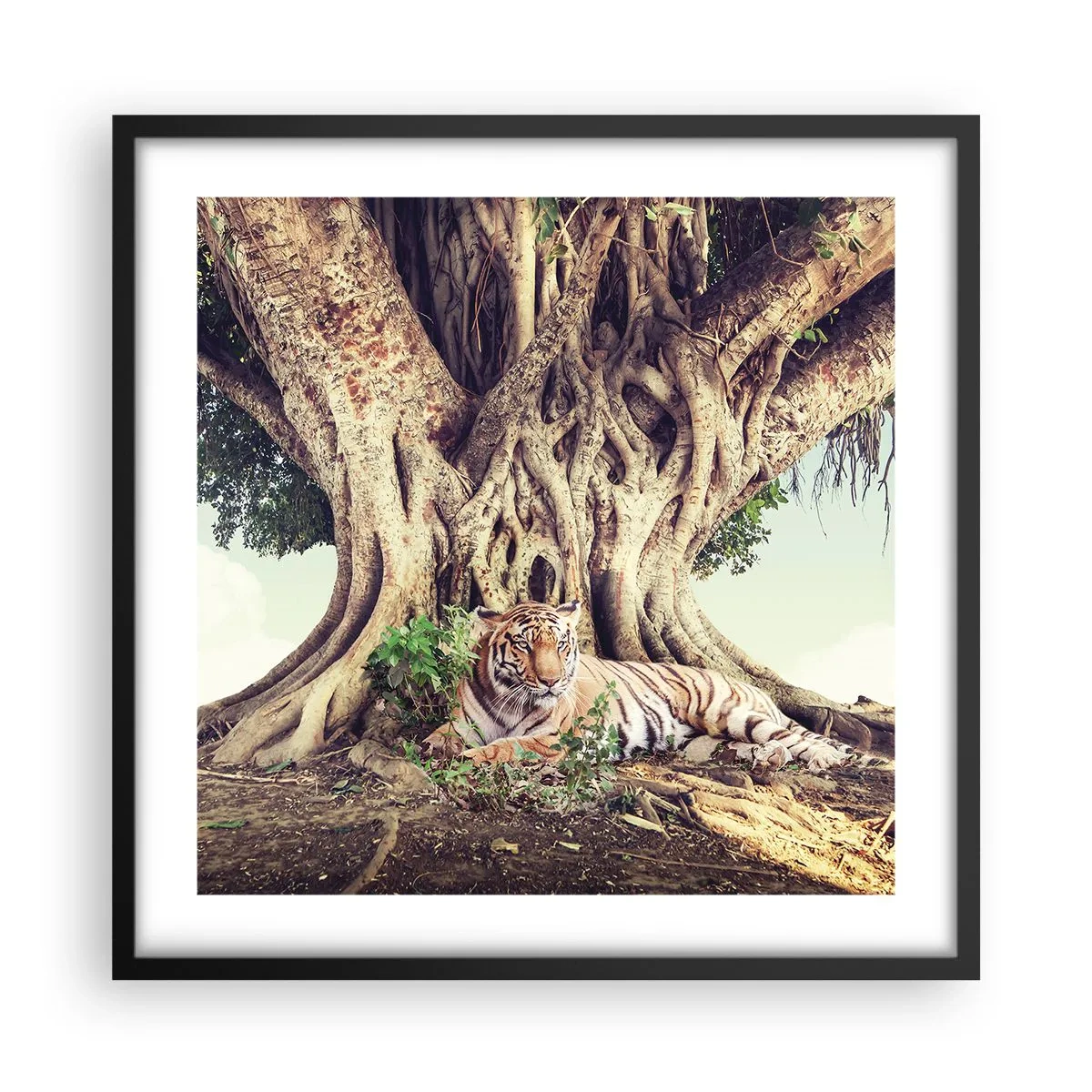 Poster in cornice nera - Vista dal Libro della Genesi - 50x50 cm