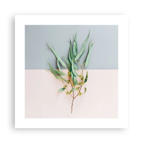 Poster - Delicatezza pastello - 40x40 cm