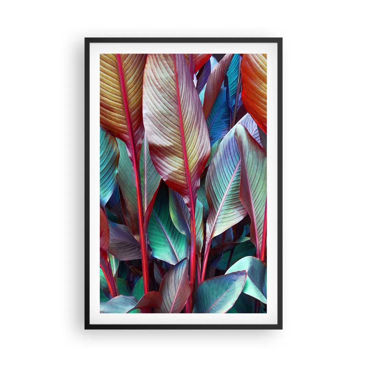 Poster in cornice nera - Selva colorata - 61x91 cm