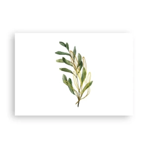 Poster - Ramo verde con foglie su sfondo bianco - 100x70cm - Tutto ciò che è buono - Decorazione murale moderna per soggiorno e camera da letto ARTTOR