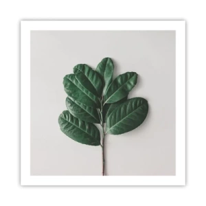 Poster - Il disegno della natura stessa - 60x60 cm