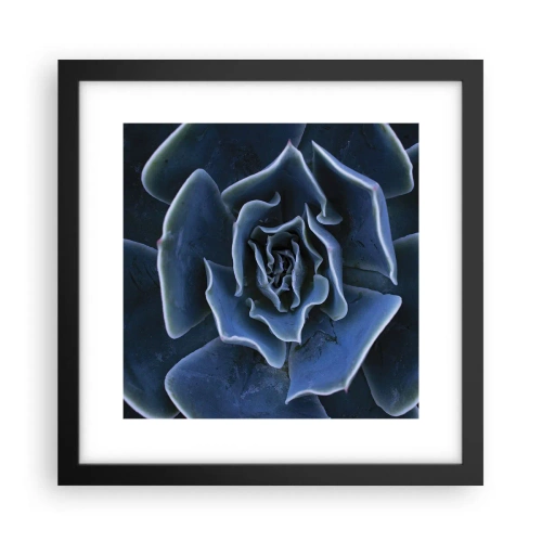 Poster in cornice nera - Fiore del deserto - 30x30 cm