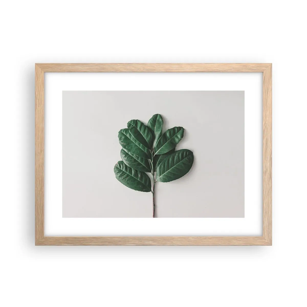 Poster in cornice rovere chiaro - Il disegno della natura stessa - 40x30 cm