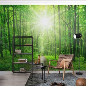 Fotomurali Premium Sand - Cattedrale verde - Paesaggio, foresta, Raggi del sole - 500x350 cm