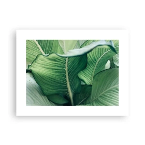 Poster - Una vita intensamente verde - 40x30 cm
