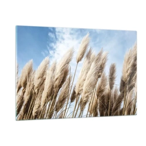 Quadro su vetro - Erbe decorative della pampa contro un cielo blu - 120x80cm - Le carezze del sole e del vento - Decorazione murale moderna per soggiorno e camera da letto ARTTOR