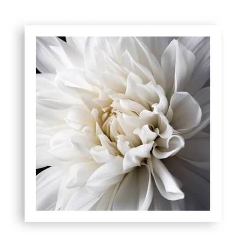 Poster - Il mattino della sposa - 60x60 cm