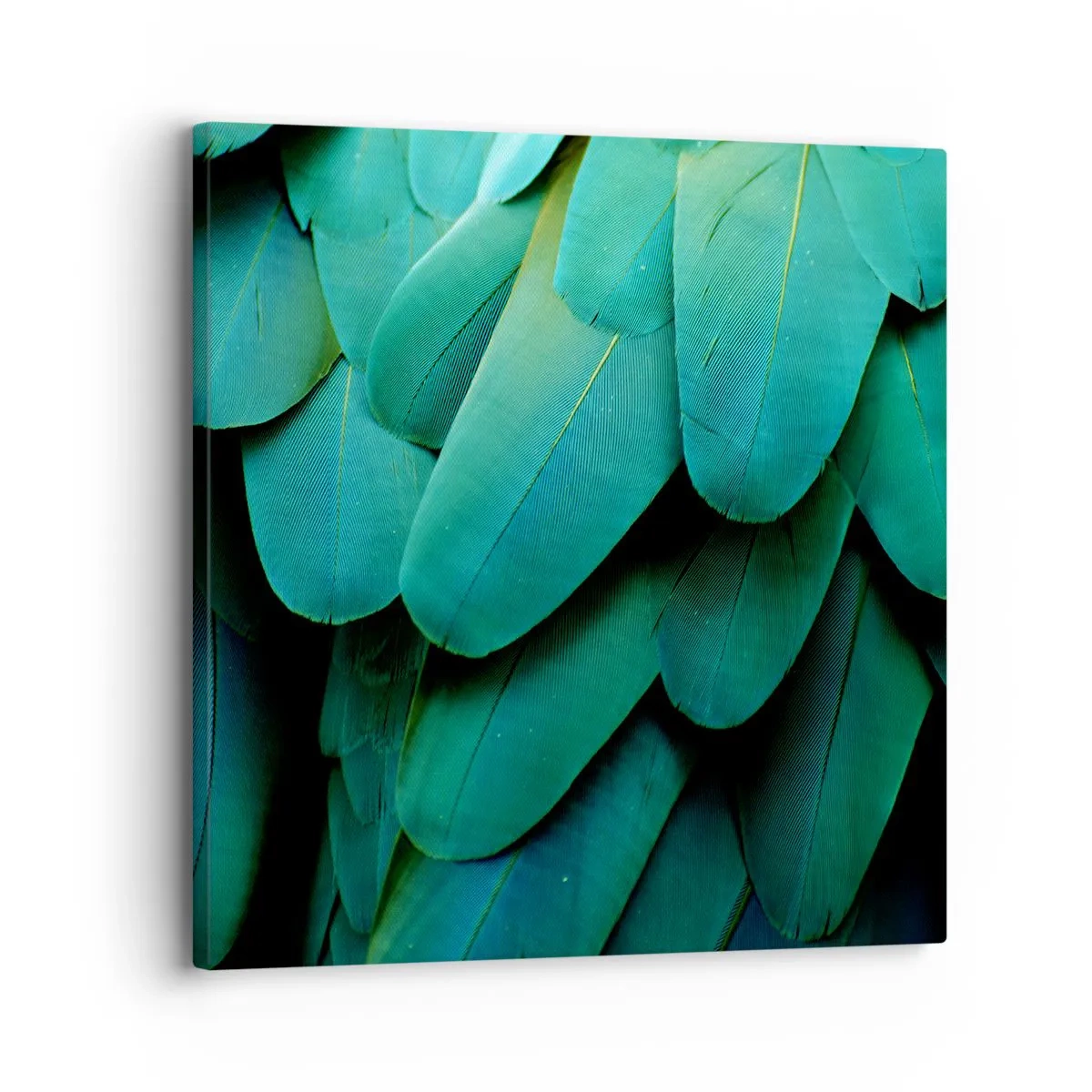 Quadro su tela - Stampe su Tela - Precisione da pappagallo - 30x30 cm