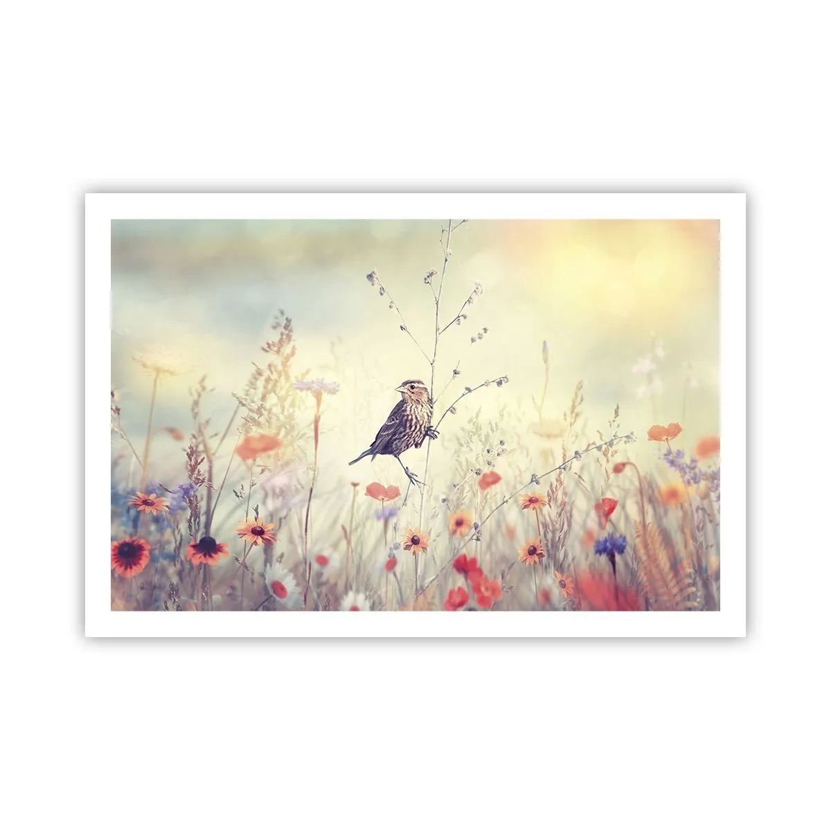 Poster - Ritratto d'uccello con prato di sfondo - 91x61 cm