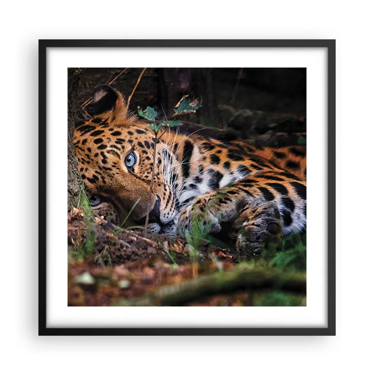 Poster in cornice nera - Fidati di me - 50x50 cm