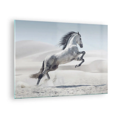Quadro su vetro - Un cavallo bianco che salta sullo sfondo delle dune del deserto - 70x50cm - Il principe arabo - Decorazione murale moderna per soggiorno e camera da letto ARTTOR